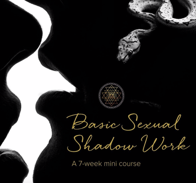 Basic Sexual Shadow Course begins October 5th, 2021